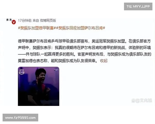 德甲赛场犯规现象分析与球员行为影响探讨