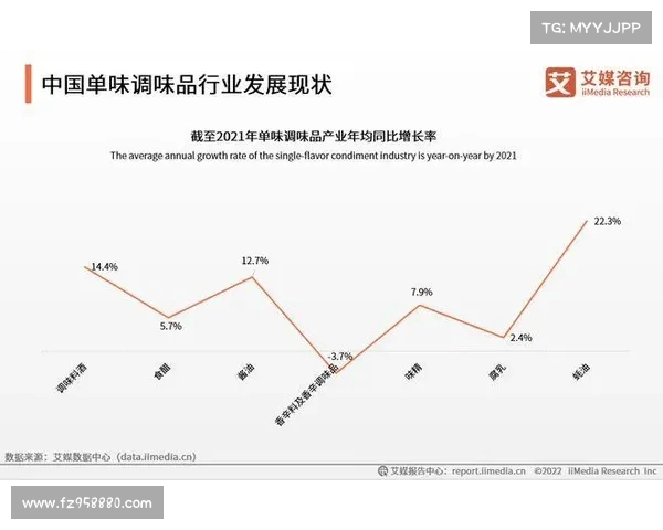 足球转会市场未来发展趋势与潜力分析报告